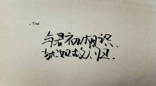 文化經(jīng)紀(jì)人服務(wù) 連接創(chuàng)意與市場的專業(yè)橋梁